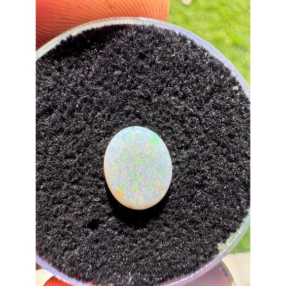 Australian Opal Cabochon - 0.90 carat in Display Box #189 - Picture 4 of 8
